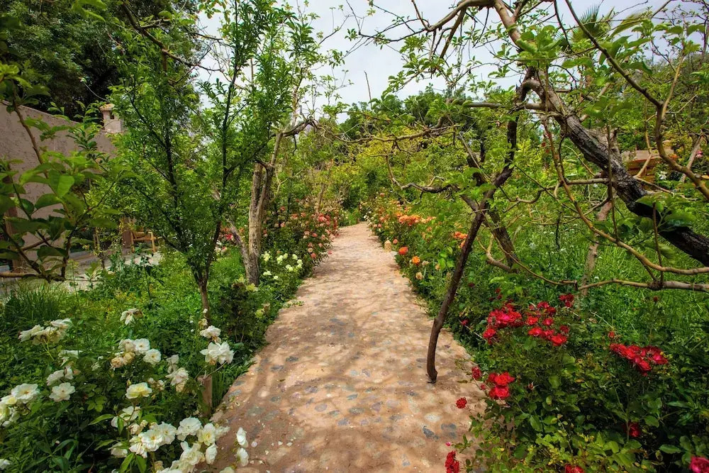 The garden of Asni