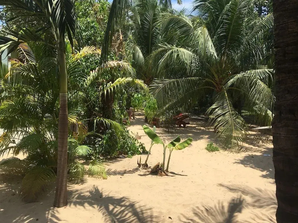 Friendly Guest House