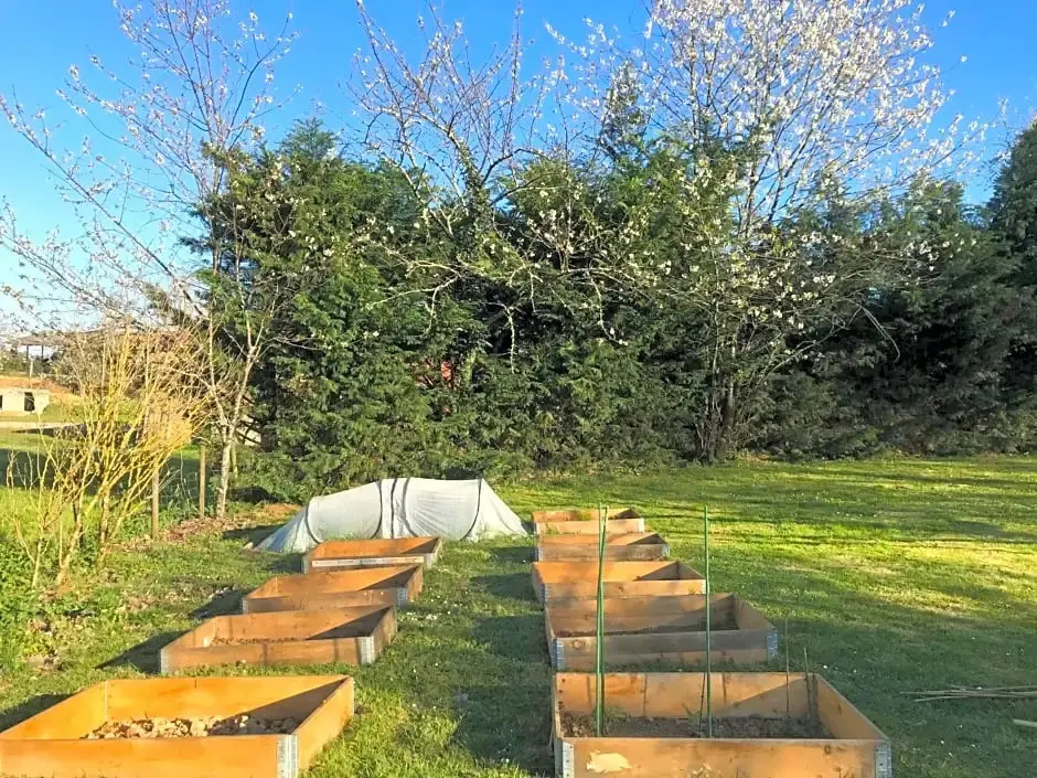 Domaine Pierrot