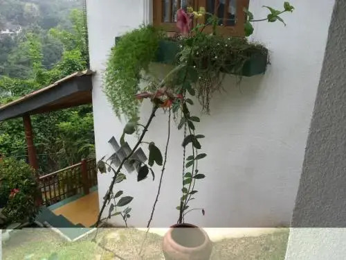 Andys Homestay