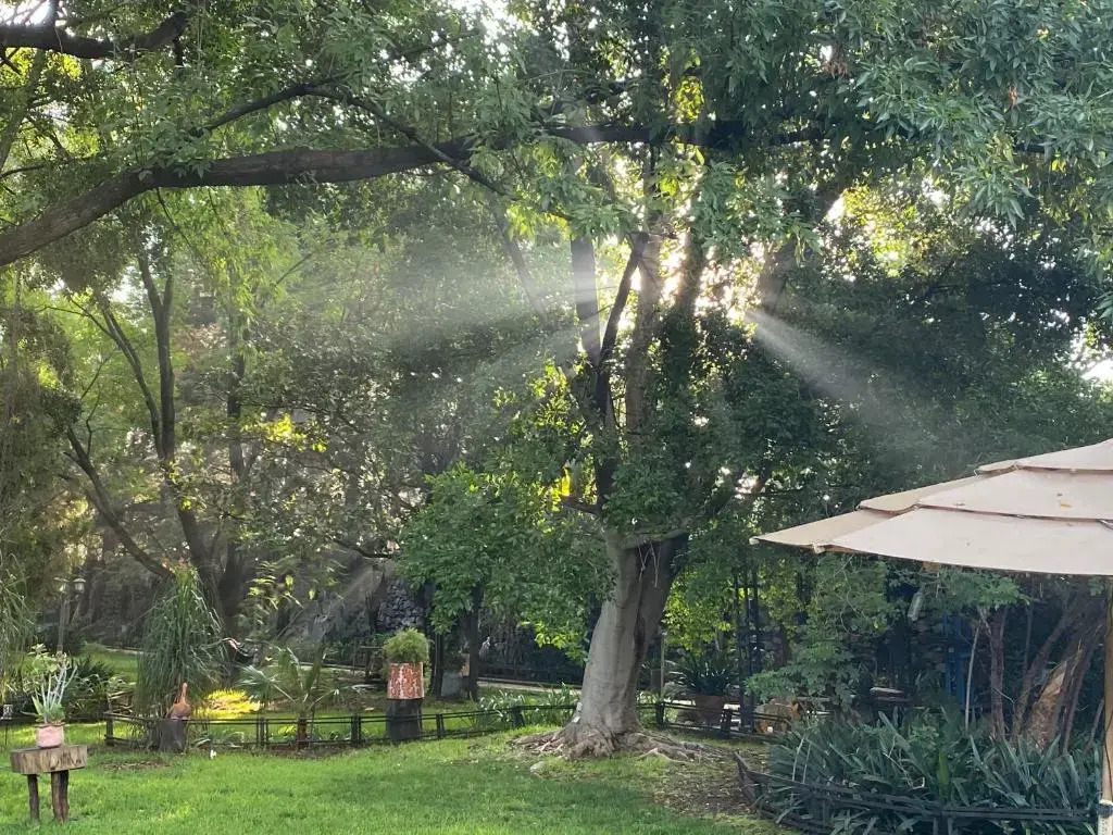 Magnolias Jardin & Boutique Suites