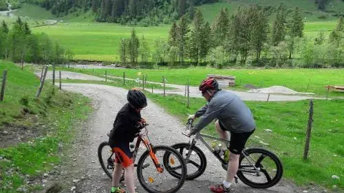 Pension Alpenrose