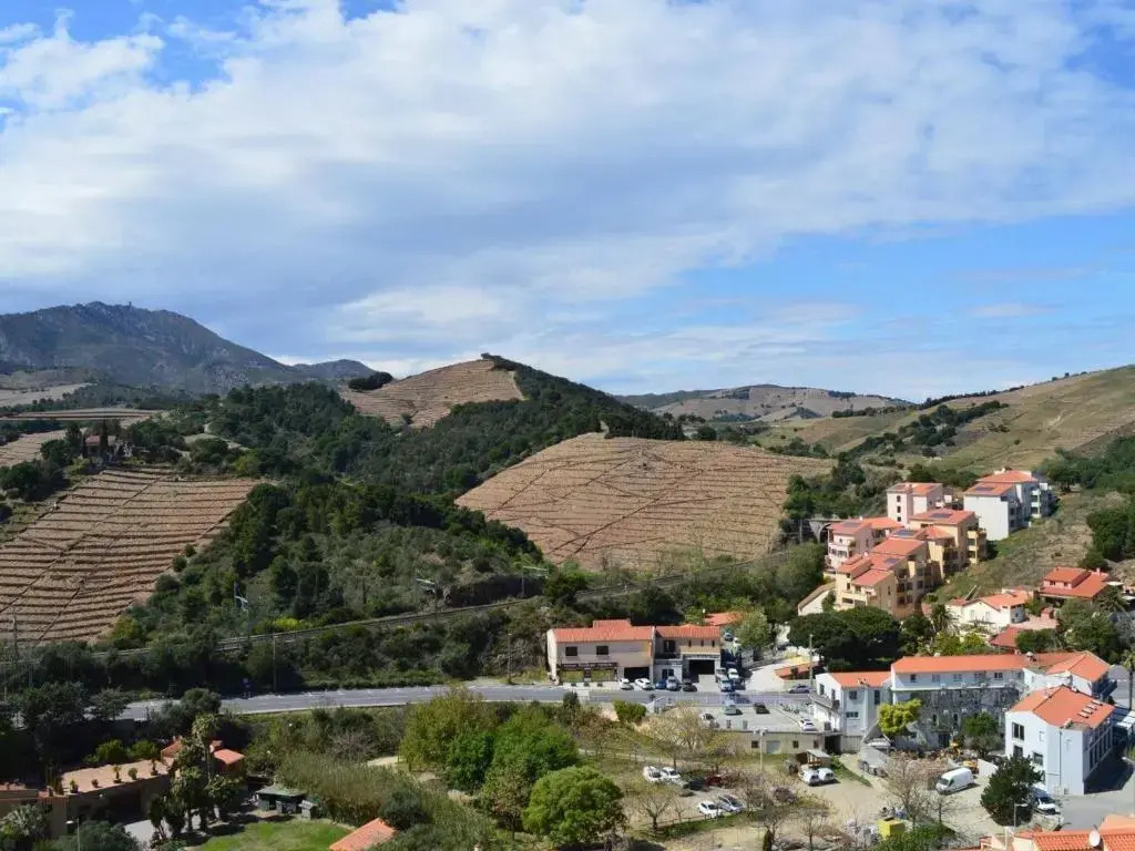 Appartement Banyuls-sur-Mer, 2 pièces, 4 personnes - FR-1-225C-412