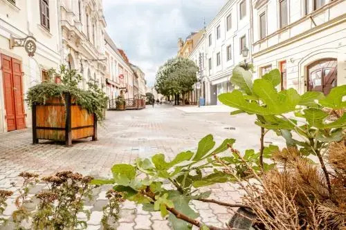 Király Str Apartman with free parking
