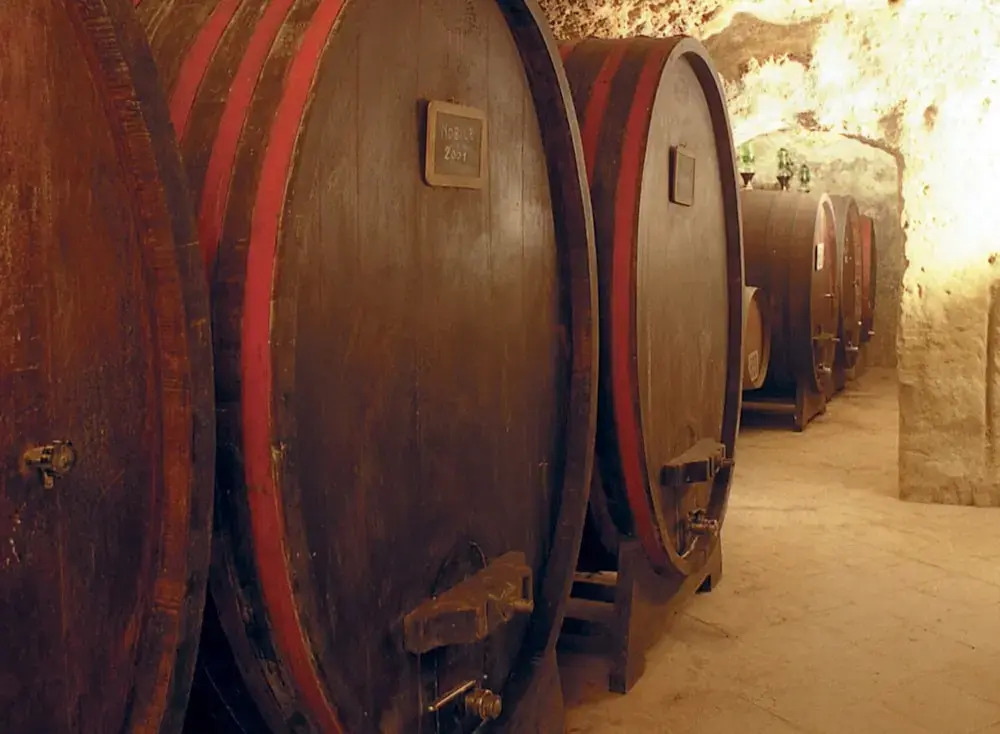 Tenuta Santagnese