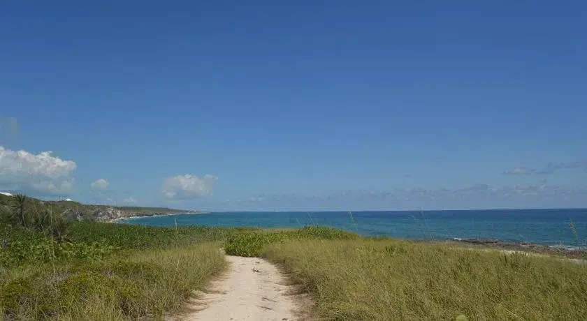 Surfers Manor