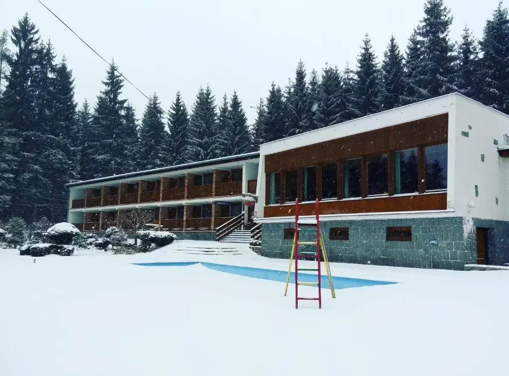 Lesní pension