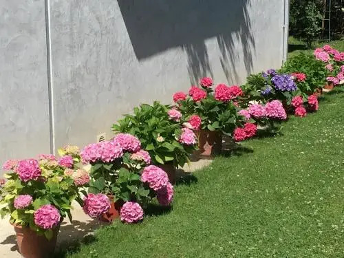Villa iacca