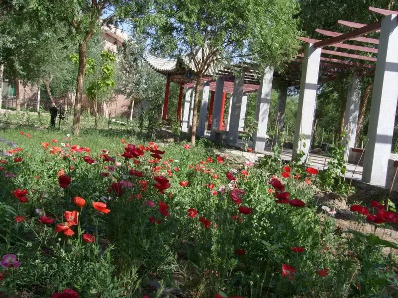 Sun Village Hotel Dunhuang