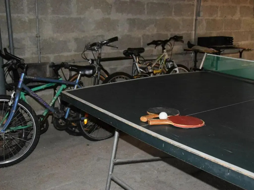Gîte familial avec jardin, billard, vélos, et cheminée, au cœur du parc naturel du Perche. - FR-1-581-91