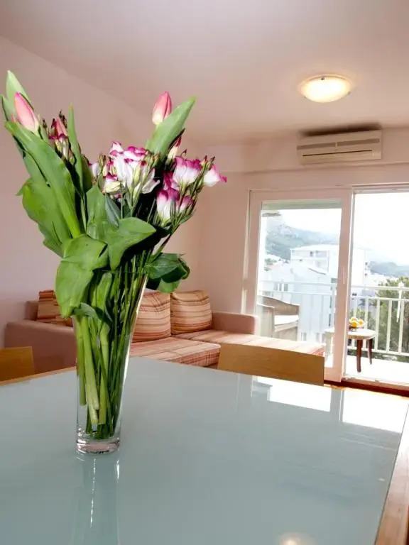 Apartment Mlinarevic