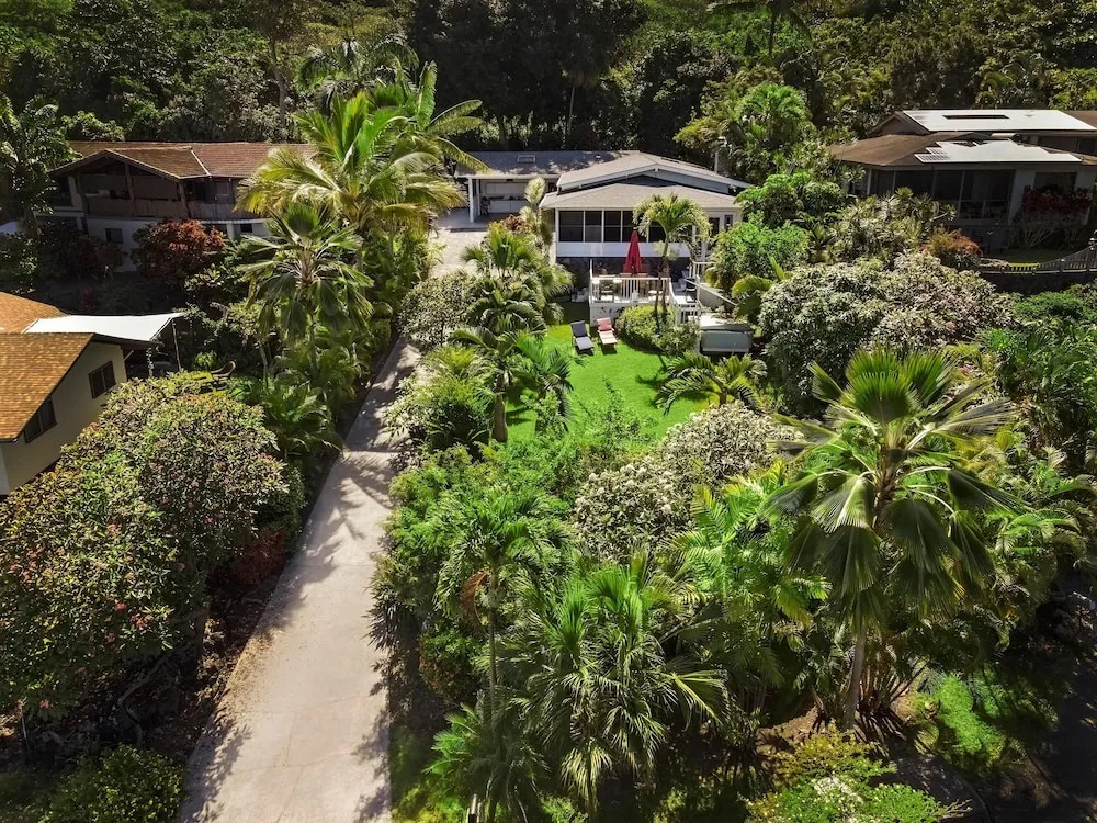 Koana Breeze