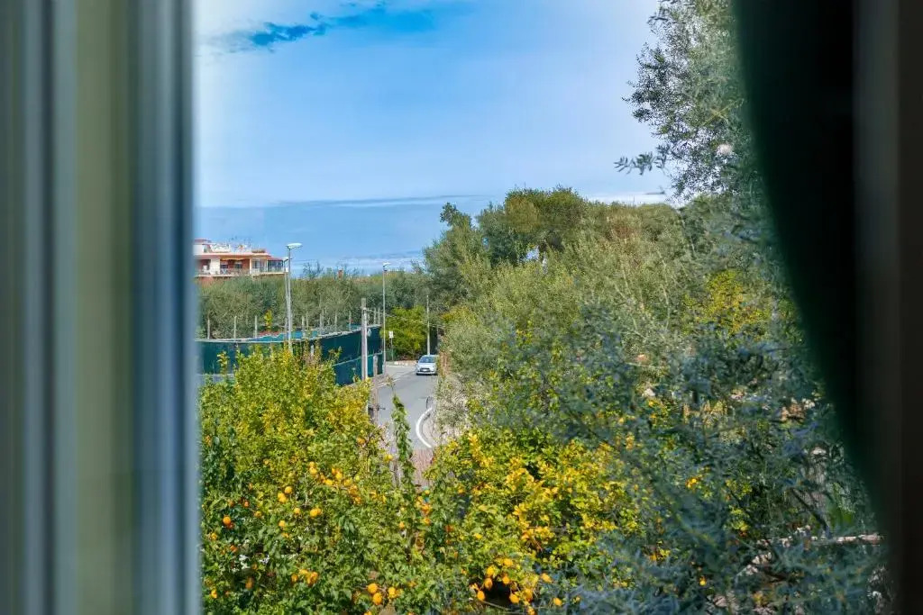 My Home Sorrento