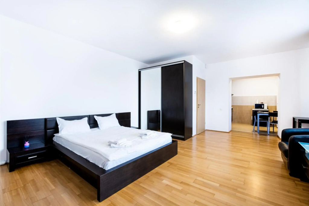Luxury Studio Aviatiei