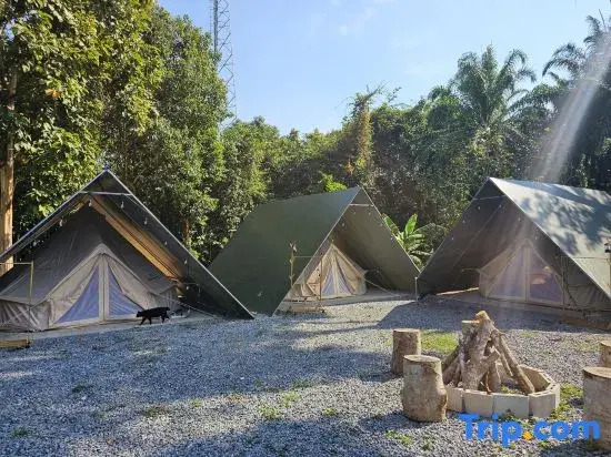 Nahm Khao Sok Hostel and Camping