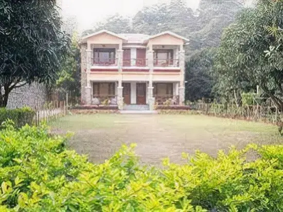 Tiger Camp