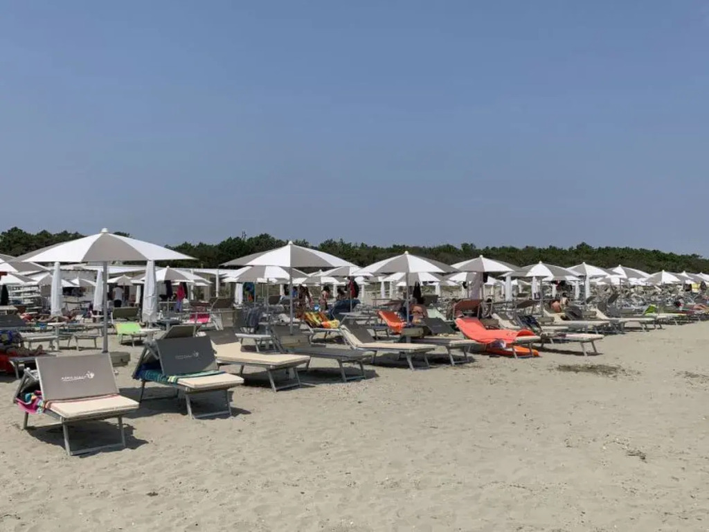 Mare Pineta 42191