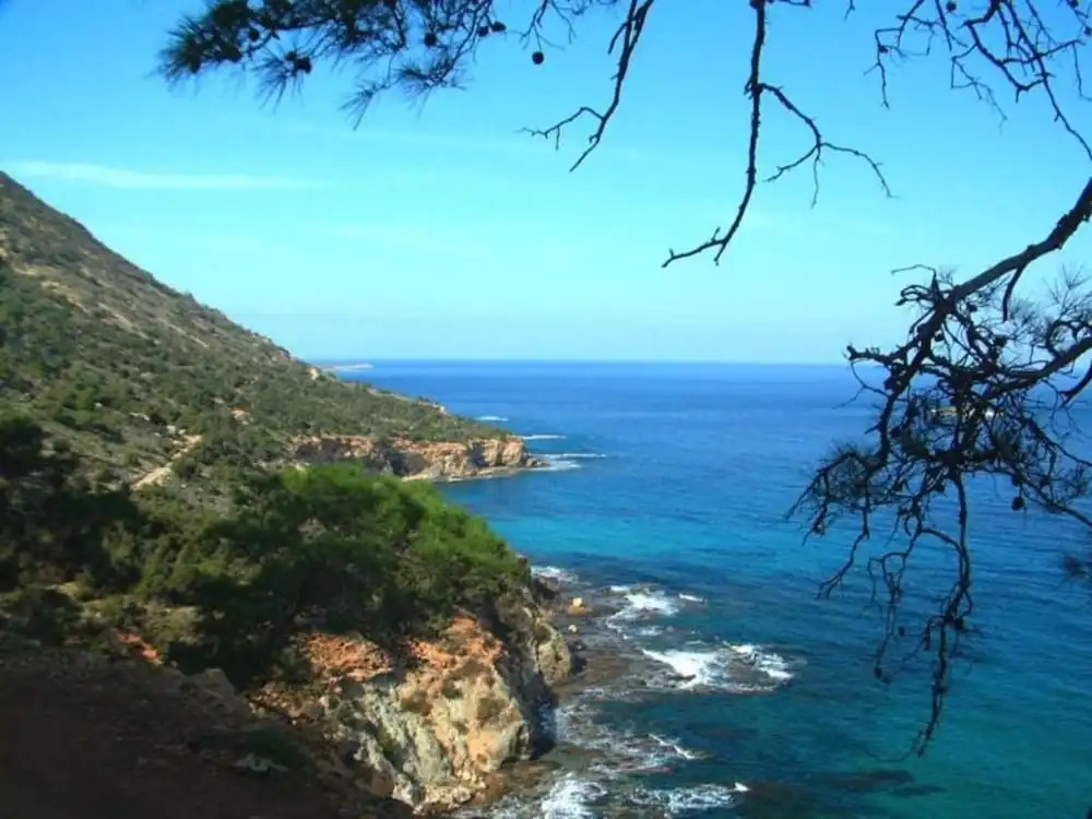 Cyprus Villa Near the Beach, Paralimni Villa 1308