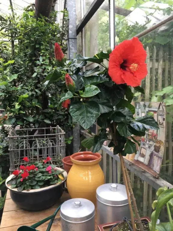 't Keetje