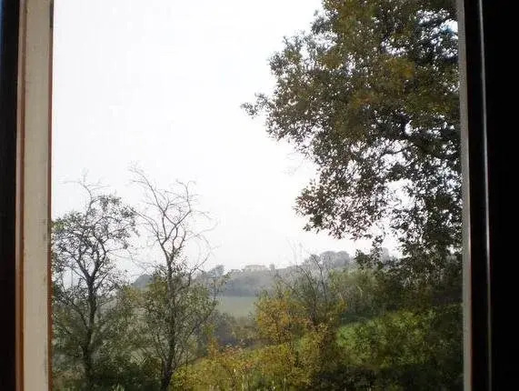 Oak Tree Guesthouse