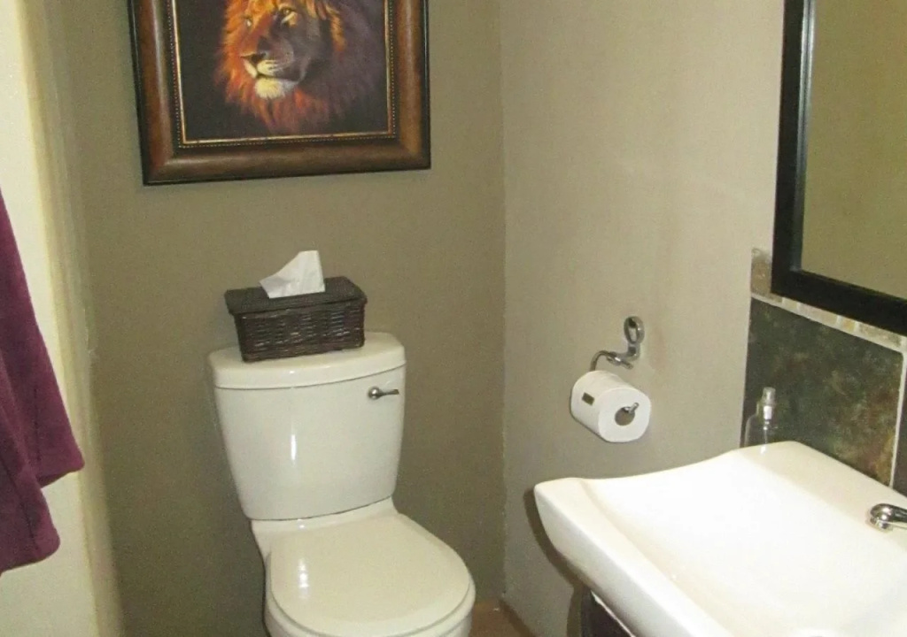 Ama Zulu Guesthouse & Safaris