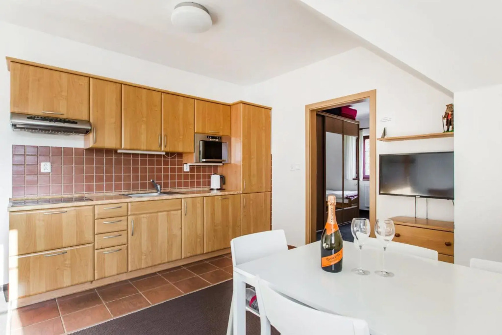 Apartman Rokytnice 213