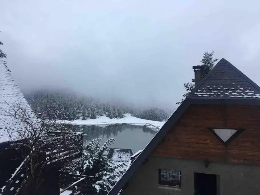 Adorable Chalet Sur Le Lac de Payolle