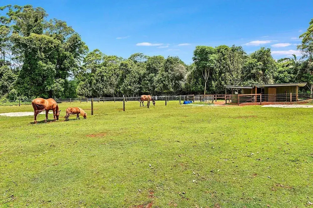 The Cottages On Mount Tamborine