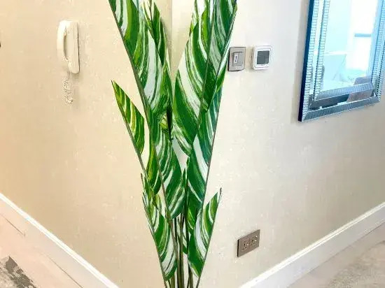 ROYAL BEACH RESIDENCES 2