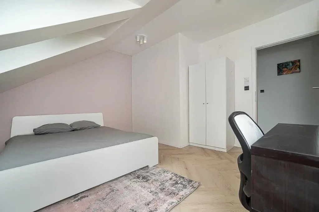 Big 4-bedroom flat, terrace with great Vítkov view