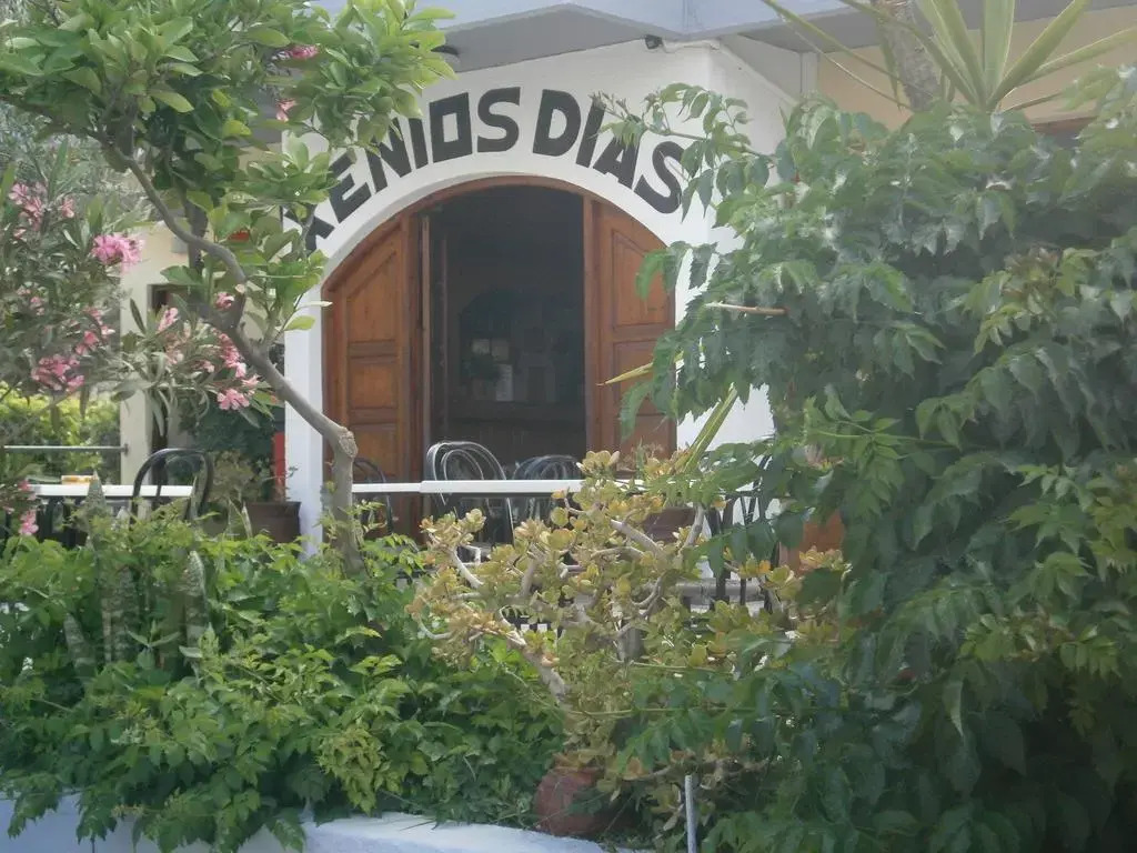 Xenios Dias