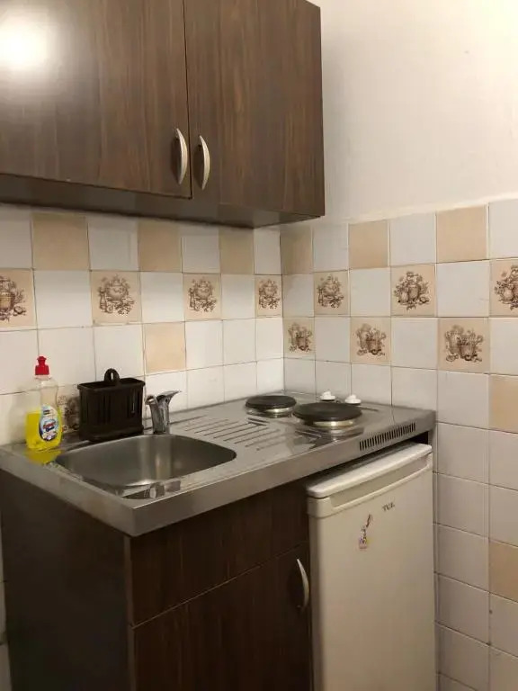 Apartments Boris