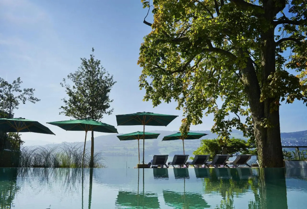Seerose Resort & Spa