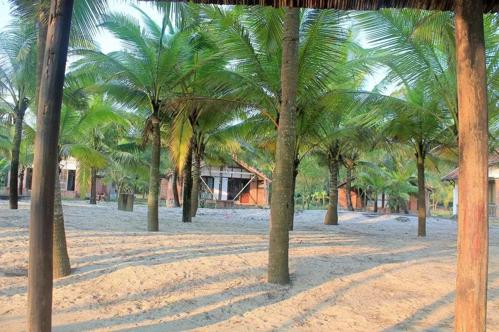 Tam Thanh Natural Beach Resort