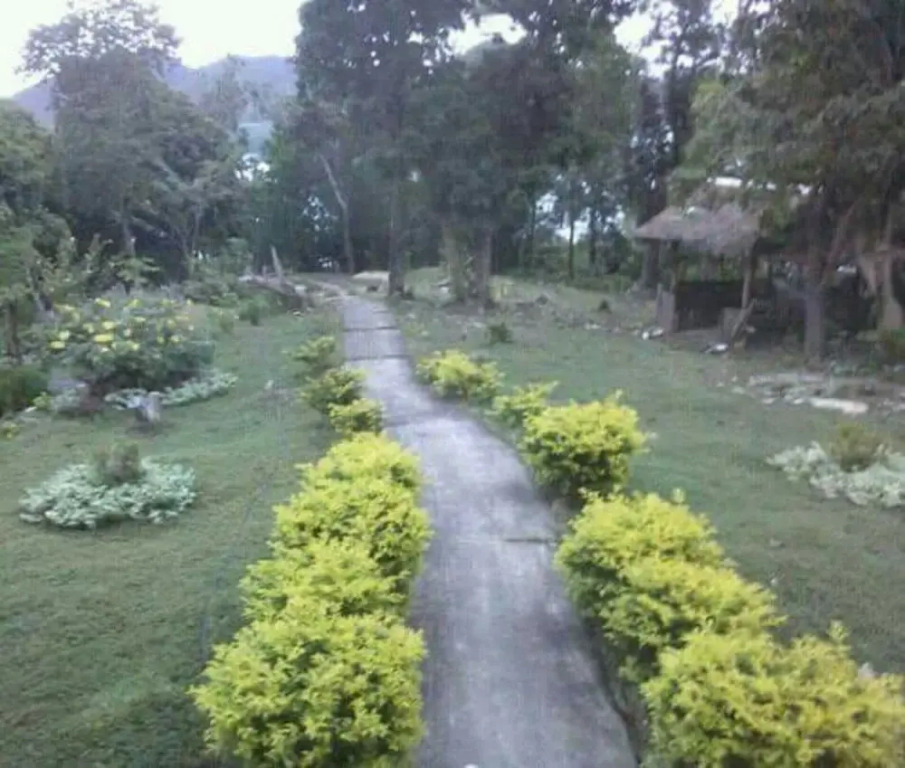 Nici Island