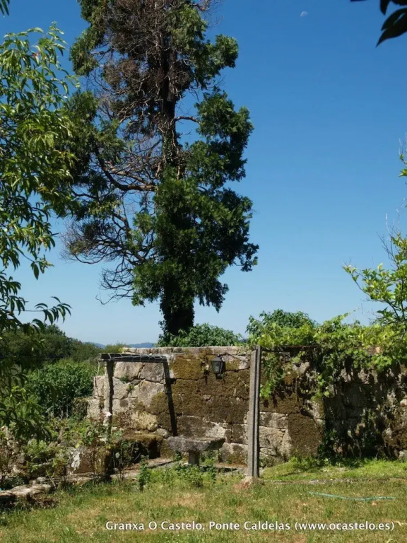 Granxa O Castelo