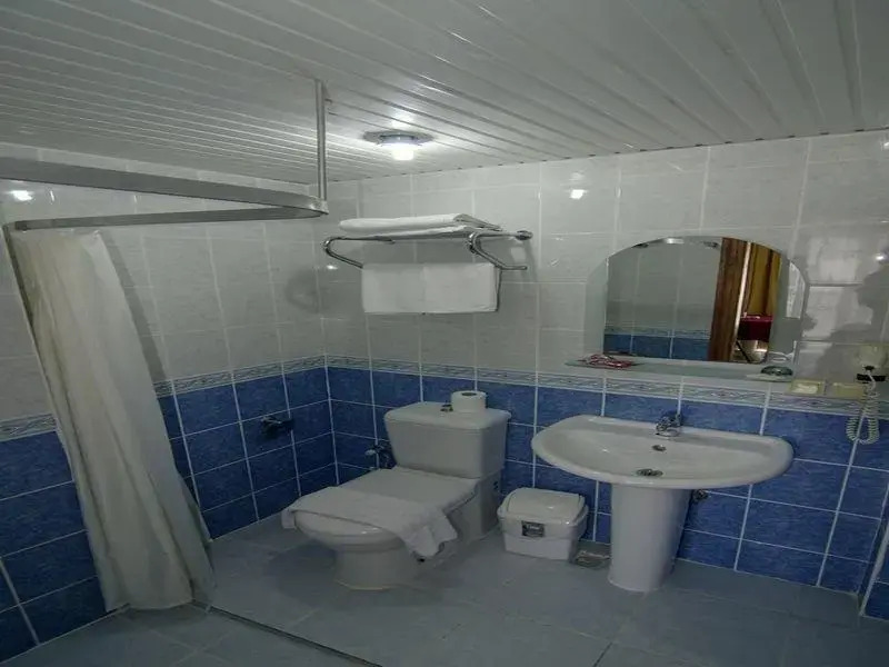 Guler Hotel	