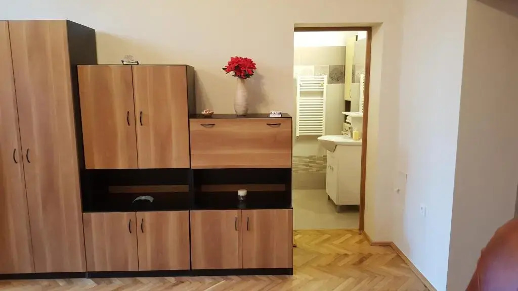 Satu Mare Apartments
