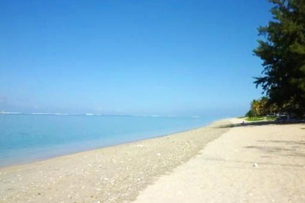 Villa with 3 Bedrooms in la Saline-Les-Bains, with Wonderful Sea View, Private Pool, Enclosed Garden - 100 M From the Beach