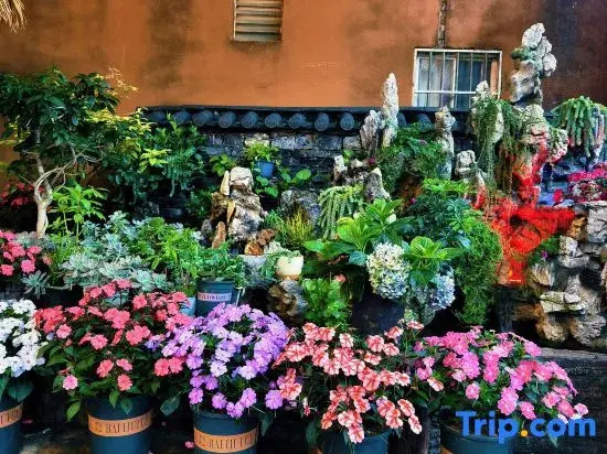 Puzhehei Qingyaxuan Homestay