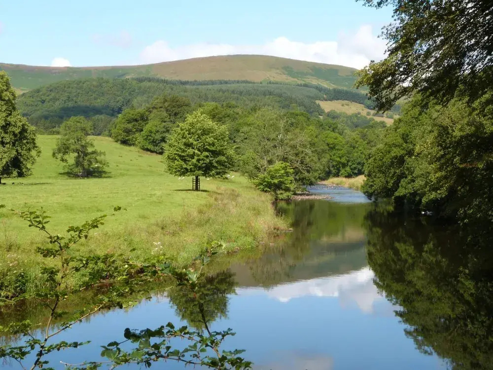 Robin Lodge