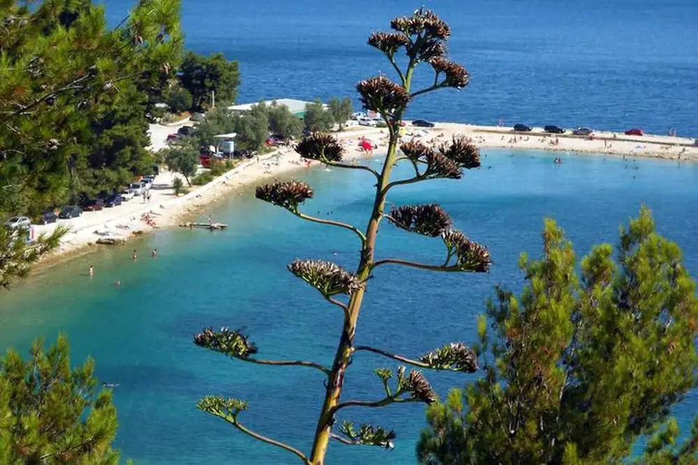 Ana Center Apartment in the Center of Split City