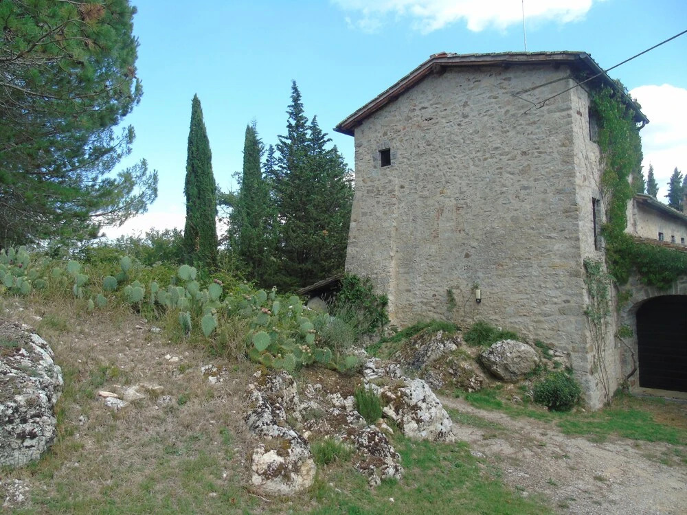 Podere di Stelle