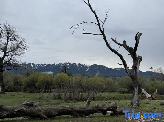 Narati Xixia Green Field Homestay