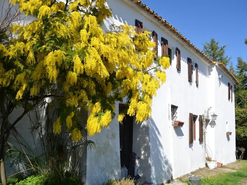 Cottage in Montefiore Near Forest and Beach