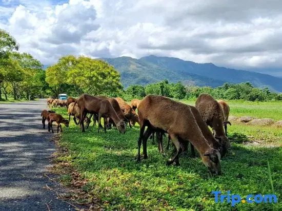 Taku Village Resort