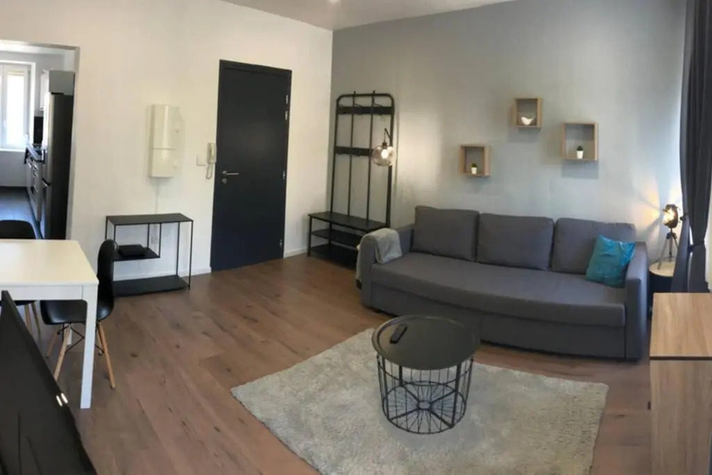 S'capades Mulhouse - Rénové 2021 - Wifi/Netflix