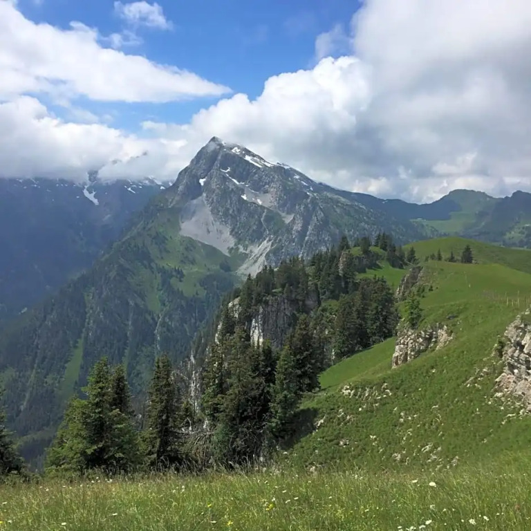 Gasthof Hirschen