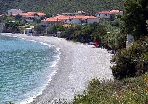 Polichni