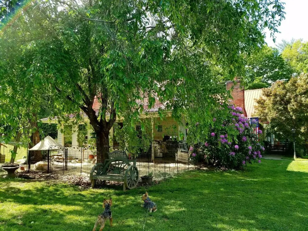Blue Ridge Manor B&B